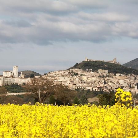 Collis Paradisi Hotell Assisi Eksteriør bilde